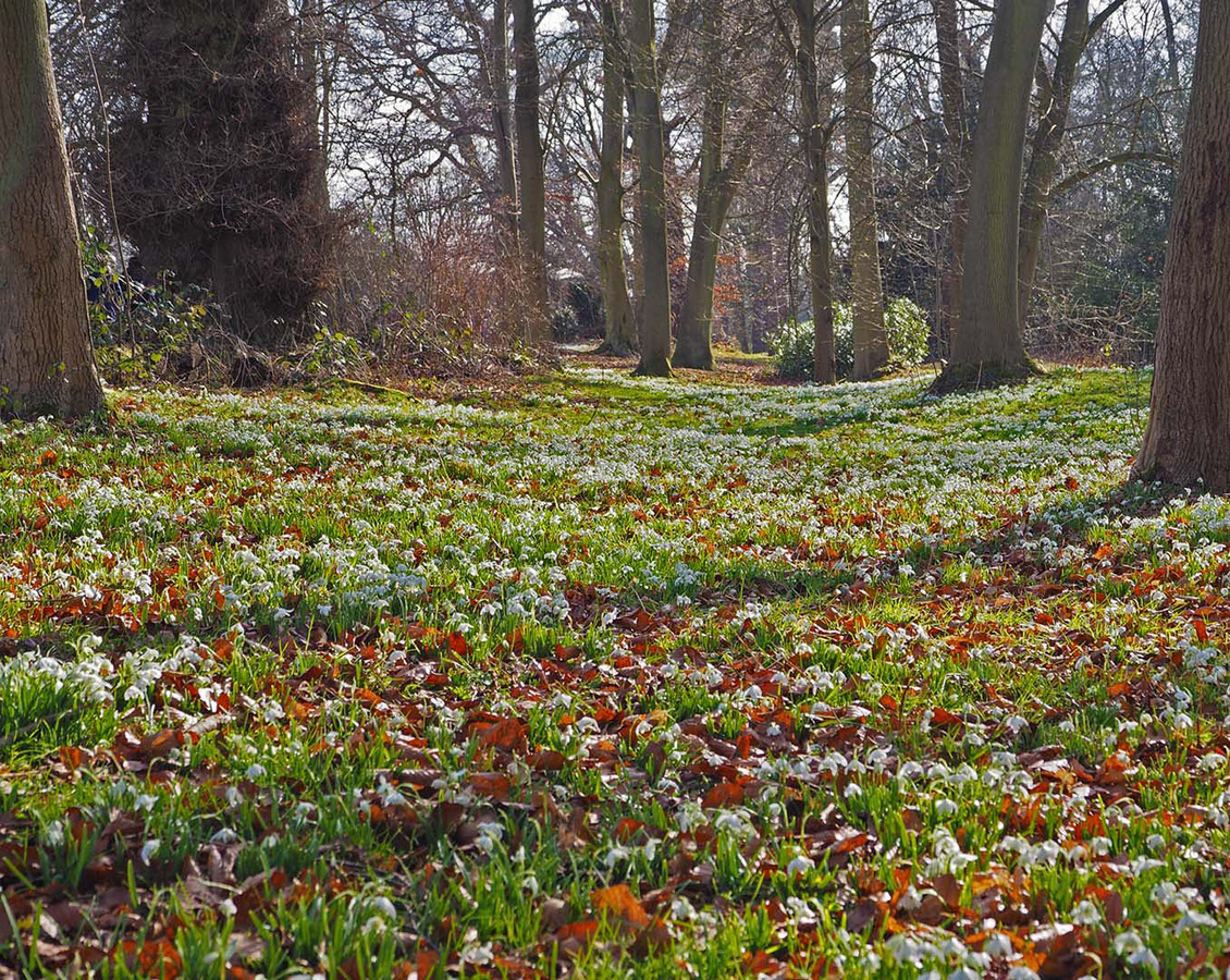 29 New life through the debris of winter